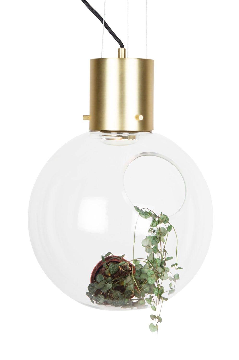 bom 21625 155 lampe og blomsteroppheng i ett